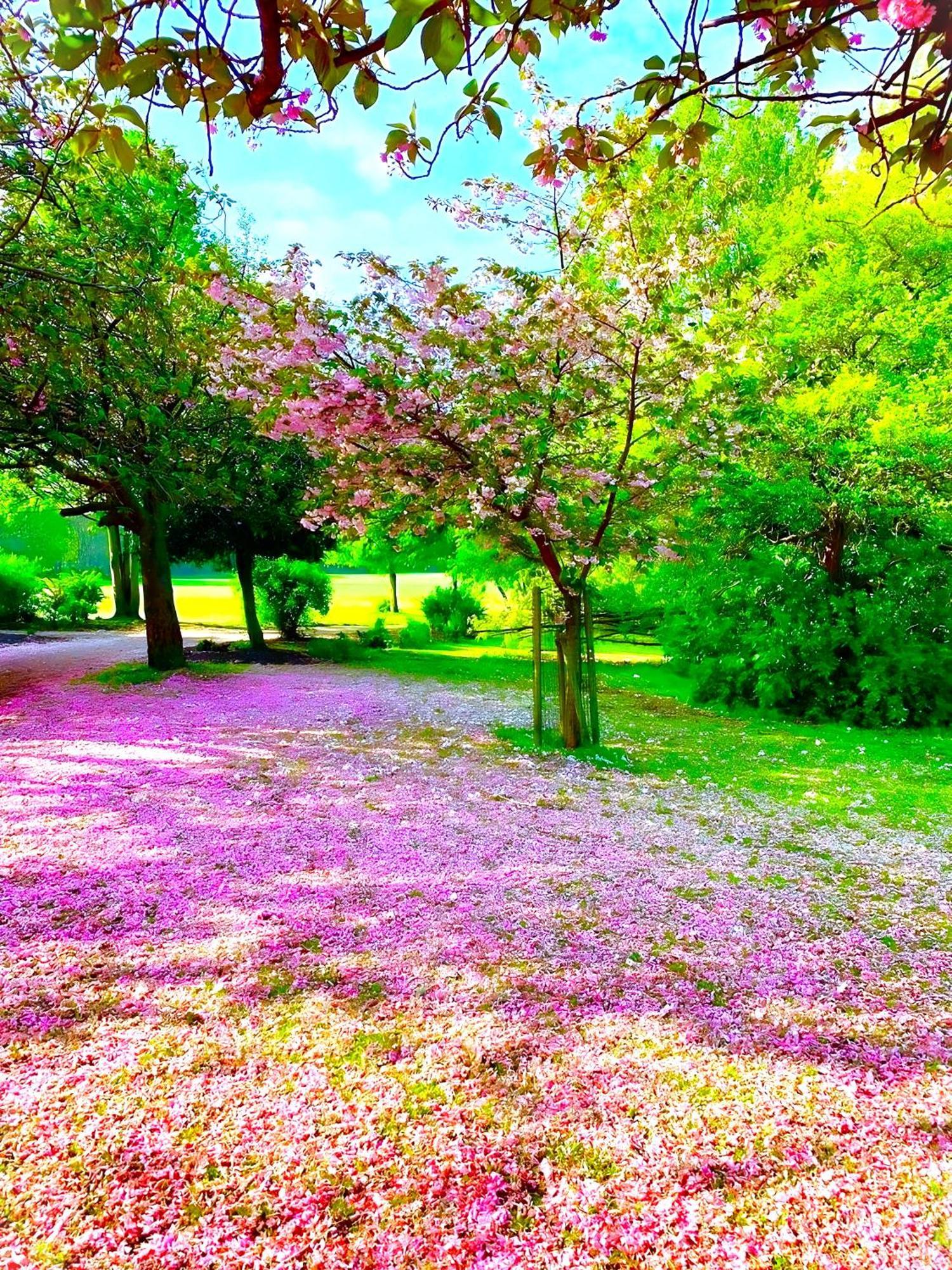 Sidemersey Livings - Botanic Residence Liverpool Bagian luar foto